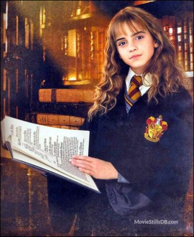 Quelle phrase Hermione Granger dit-elle concernant la protection de la pierre philosophale ?