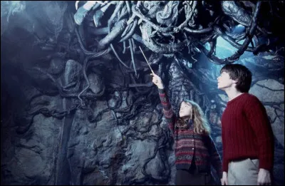 Quelle phrase correspond au filet du diable ?