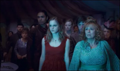 Pourquoi Molly Weasley a-t-elle une attitude froide envers Hermione lorsqu'elle vient à Poudlard afin d'assister à la 3e tâche de la Coupe de Feu ?