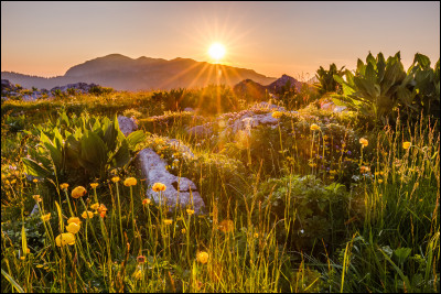 Le vendredi soir cest repos. Que fais-tu généralement ? (1/2)