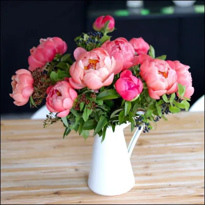 Et nous avions chargé Mika, le fleuriste, de te choisir un joli bouquet de fleurs ! C'est Émilierouge qui a pris soin de les mettre dans un vase !