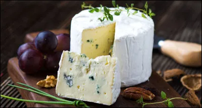 Hippo et René se pourlèchent quand arrive le fromage !
Ils choisiront ce fameux fromage. Mais quel est donc ce bleu ?