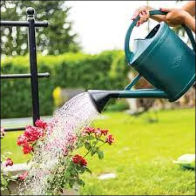 Un rosutiphiliste collectionne les arrosoirs.