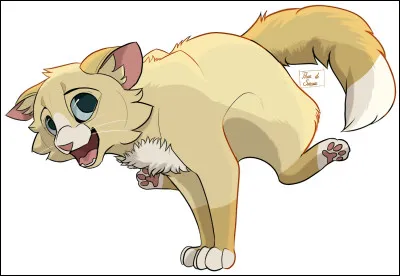 Quelle est la meilleure position pour dormir la nuit ?