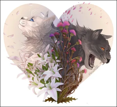 Voilà 3 lunes que tu as débuté ton apprentissage. Entre-temps, tu as rencontré une novice pour qui tu éprouves des sentiments. Que fais-tu ?