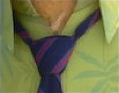 Quel personnage Disney porte cet habit ?