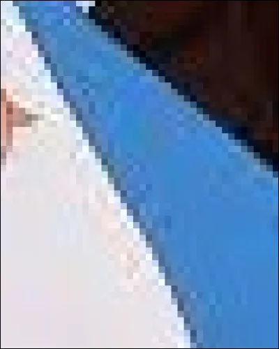 Quel personnage Disney porte cet habit ?