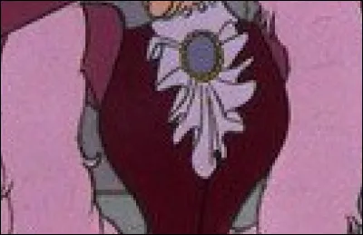 Quel personnage Disney porte cet habit ?