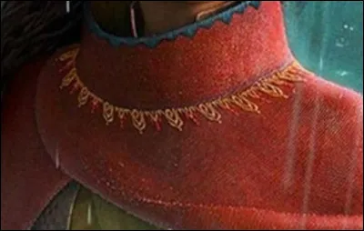 Quel personnage Disney porte cet habit ?