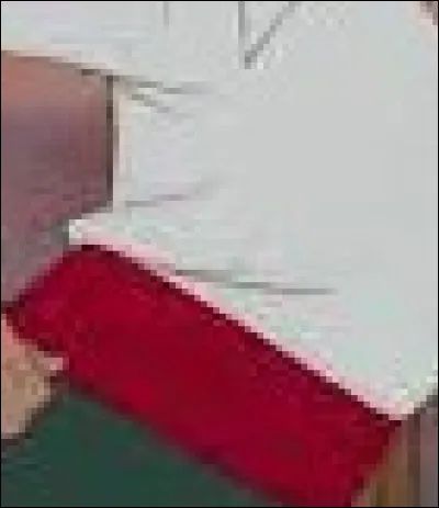 Quel personnage Disney porte cet habit ?