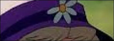 Quel personnage Disney porte cet habit ?