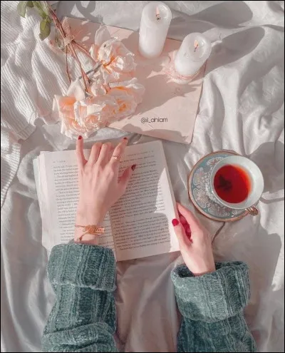 Où se cache l'intrus parmi ces romans de Bazin ?