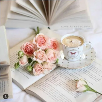 Quel est l'intrus parmi ces romans de Marcel Proust ?