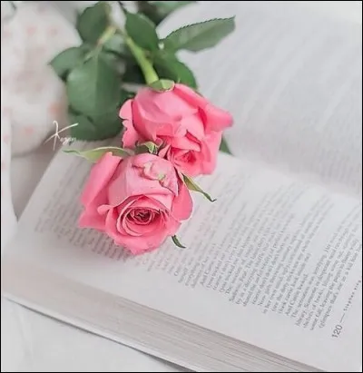 Quel est l'intrus parmi les livres de Simone de Beauvoir ?