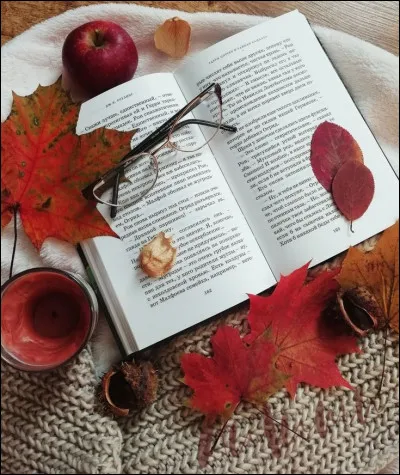 Quel intrus sème le désordre chez Barjavel ?