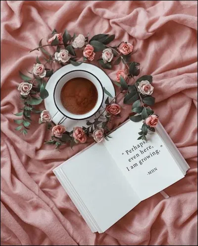 Supprimez l'intrus dans ces romans de Boris Vian ?