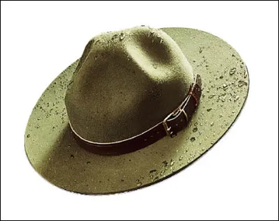 Quel est ce couvre-chef, chapeau traditionnel des scouts ?