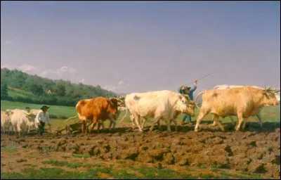 Quel est le prénom de madame Bonheur, peintre et sculptrice naturaliste française du XIXe siècle ?