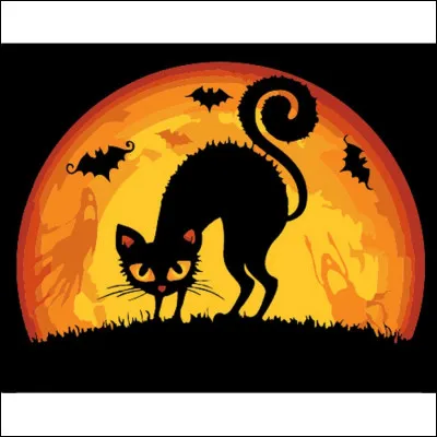 Est-il vrai qu'être poursuivi par un chat noir porte malheur ?