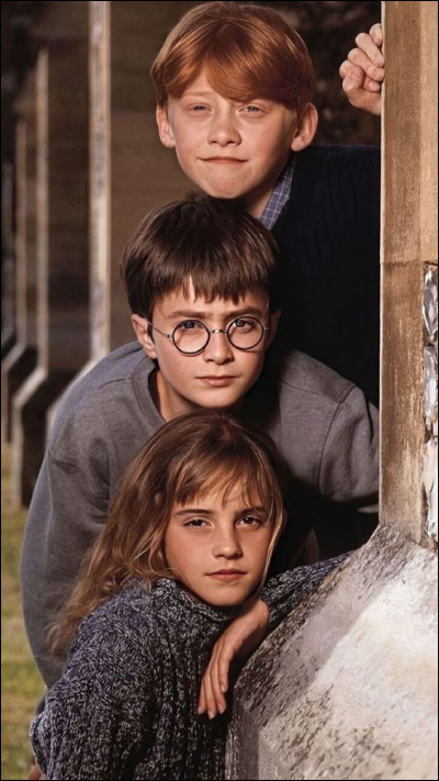 Comment est appelé le trio des trois sorciers Harry, Hermione et Ron ?