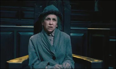 On apprend vite qu'Arabella Figg aime beaucoup