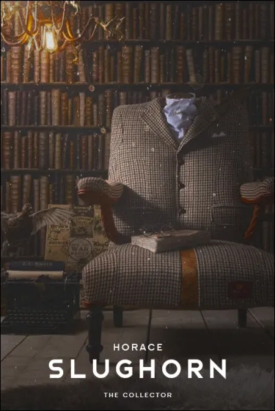 Dans quelle ville Albus Dumbledore et Harry vont-ils chercher Horace Slughorn ?