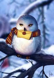 Quiz Harry potter