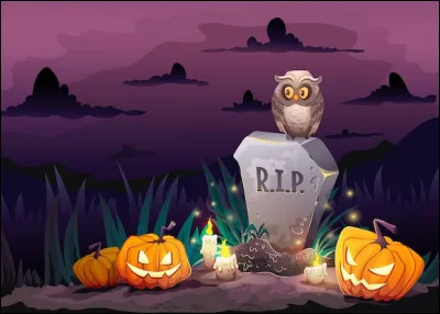 Sur quoi est posée la chouette sur l'image ?