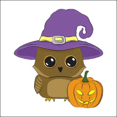 Quel est cet animal ?