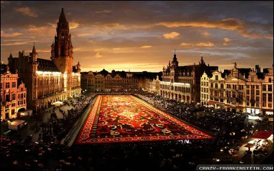 De quel pays Bruxelles est-elle la capitale ?