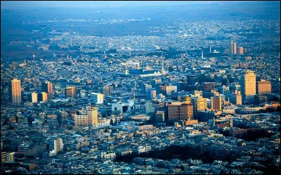 De quel pays 	Damas est-elle la capitale ?