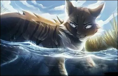 Comment est morte Rivi&egrave;re d’Argent ?