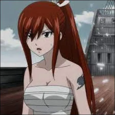 Je fais partie du groupe des 7 Deadly Cheeses. On me dit souvent que je suis la personne la plus sérieuse du groupe. J'ai déjà voyager en Martinique. Ma Waifu est Erza de Fairy Tail. Qui suis-je ?