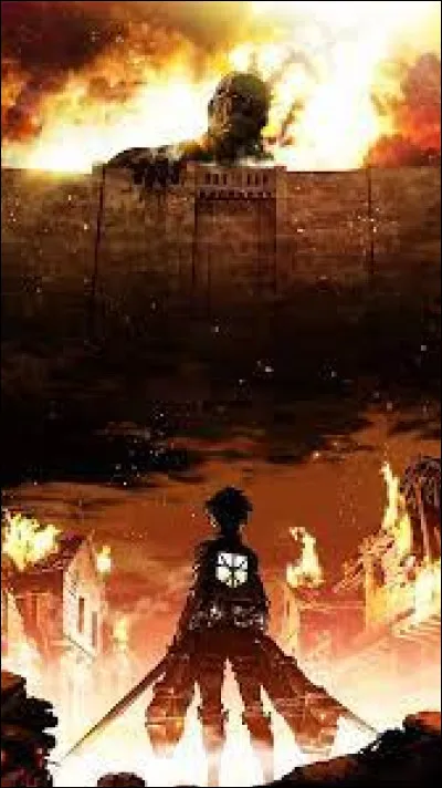 Je suis très grand en taille, j'ai les cheveux plutôt longs. Quand je vais à la Japan Expo, je vais voir les gens en leur demandant s'ils peuvent me donner un mot qui résume cet évènement. Qui suis-je ?