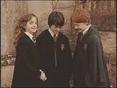 Depuis tout à l'heure, on vous parle des vidéos "Cite un personnage". C'est moi qui ai créé ce genre de jeu. Une de mes phrases favorites c'est "... sinon j'appelle ta daronne. Une fois Naruto a contrôlé ma journée. Je suis fan de cette Saga. Qui suis-je ?