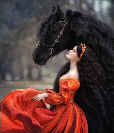 Jusqu'à quel âge un cheval peut-il être encore bien performant ?