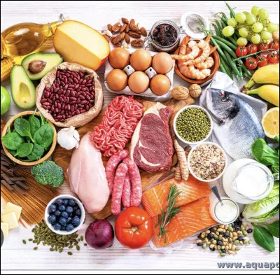 Quel plat pr&eacute;f&egrave;res-tu ?