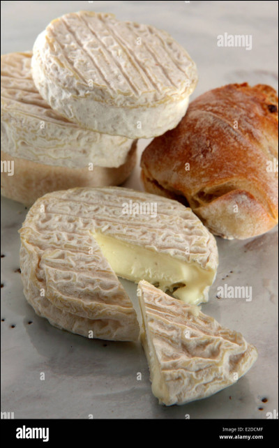 Quel est ce fromage de chèvre rond à pâte molle et croûte fleurie du Languedoc ?