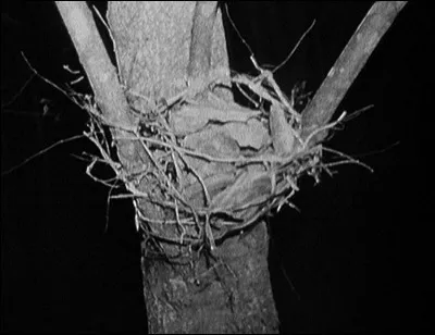 Par quoi les lieux ne sont-ils pas marqués ?