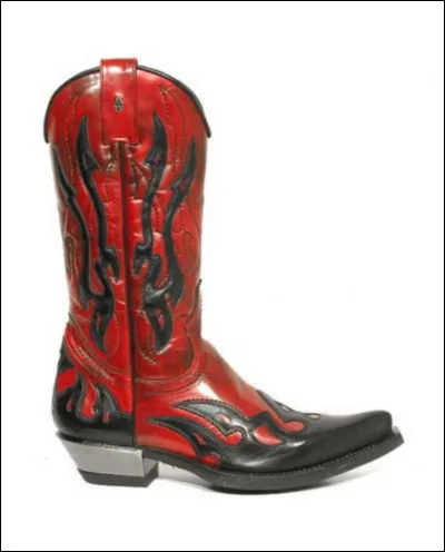 Quelle est cette chaussure, une botte typique portée par les cow-boys avec une tige haute, un bout pointu et un talon haut ?