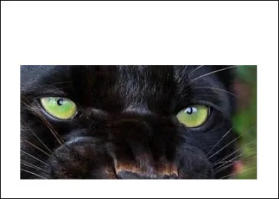 À qui sont ces yeux ?