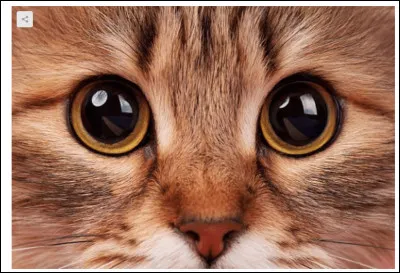 À qui sont ces yeux ?