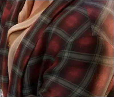 Quel personnage Disney porte ce vêtement ?