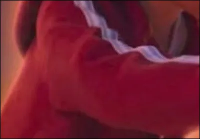 Quel personnage Disney porte ce vêtement ?