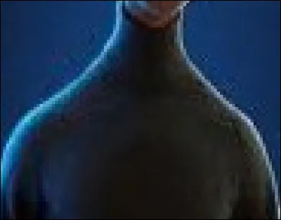 Quel personnage Disney porte ce vêtement ?