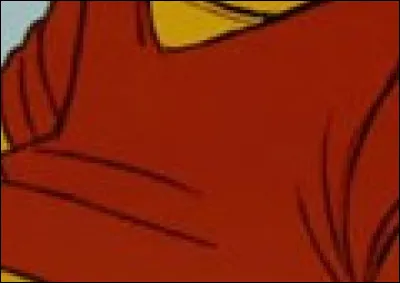 Quel personnage Disney porte ce vêtement ?