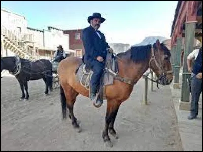 Quel est le nom de cet acteur ?