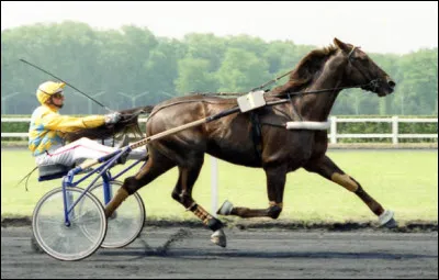 Très en avance sur la France, la Grande-Bretagne fut la première à organiser des courses hippiques sur son territoire. En quelle année le très aristocratique cercle du Jockey-Club apparaît-il ?