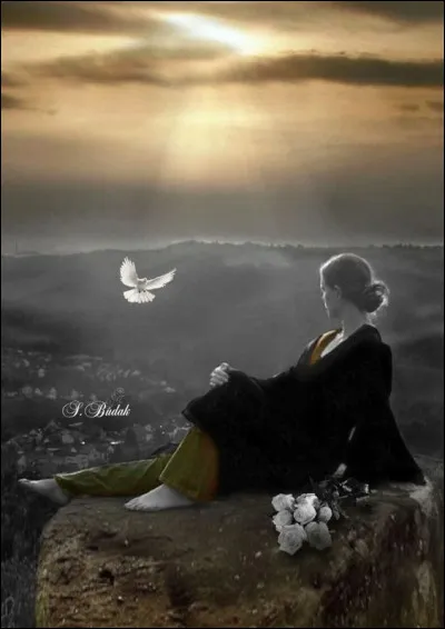 À qui doit-on le roman "La Dame du lac" dans lequel on retrouve le célèbre Philip Marlowe ?