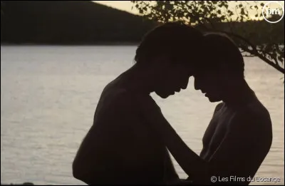 Quel film a été réalisé par Alain Guiraudie ?